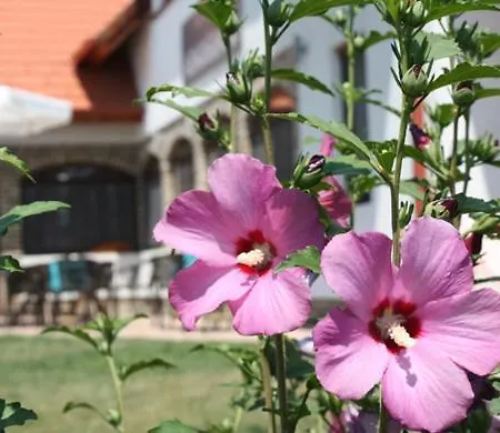 Apartamento Velocipéd